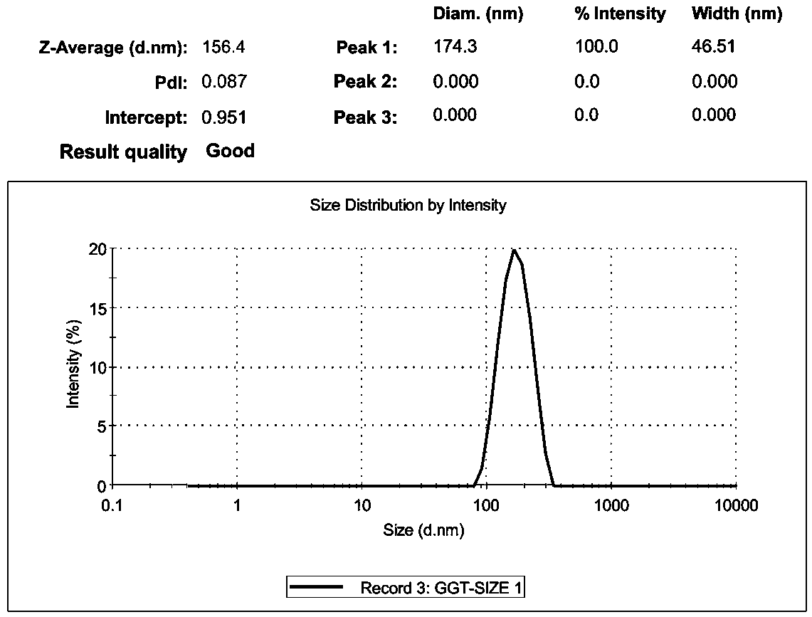 GGT antibody immune nano magnetic beads and preparation method and application thereof