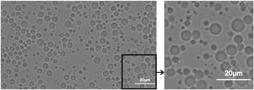 Emulsion droplet digital PCR quantitative method based on microspheres and microcolumn array chips