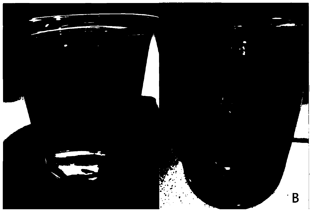 Compound reducing agent and reduction dyeing method