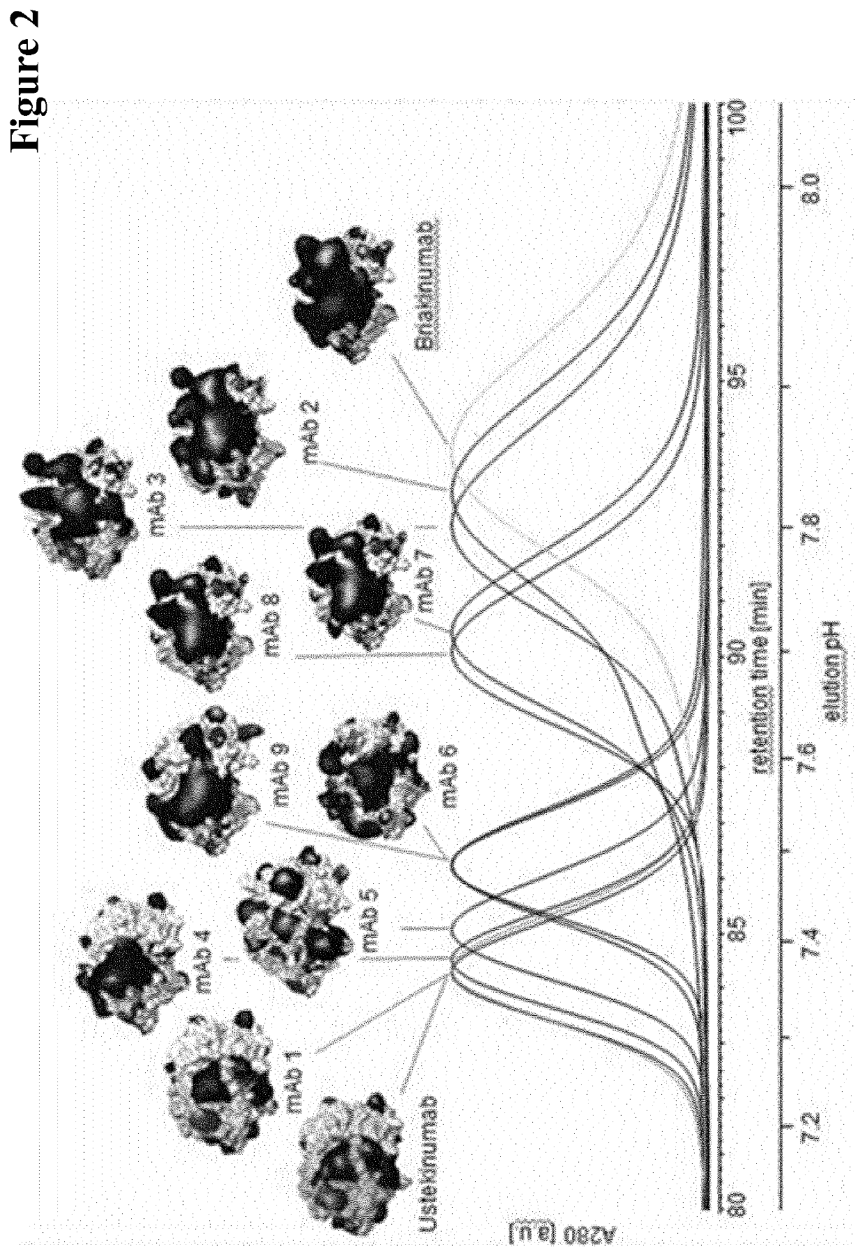 Vitro prediction of in vivo half-life