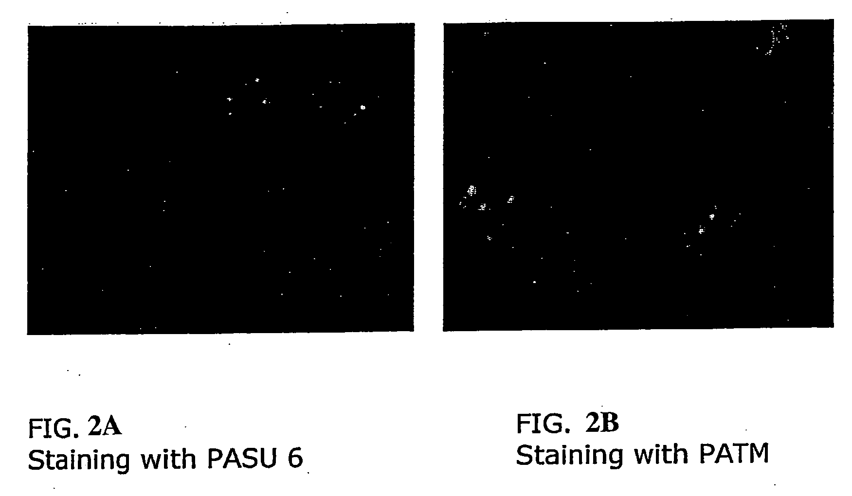 Selective chromophores