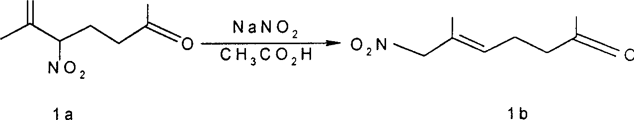 Process for preparing allylic primary nitro compound