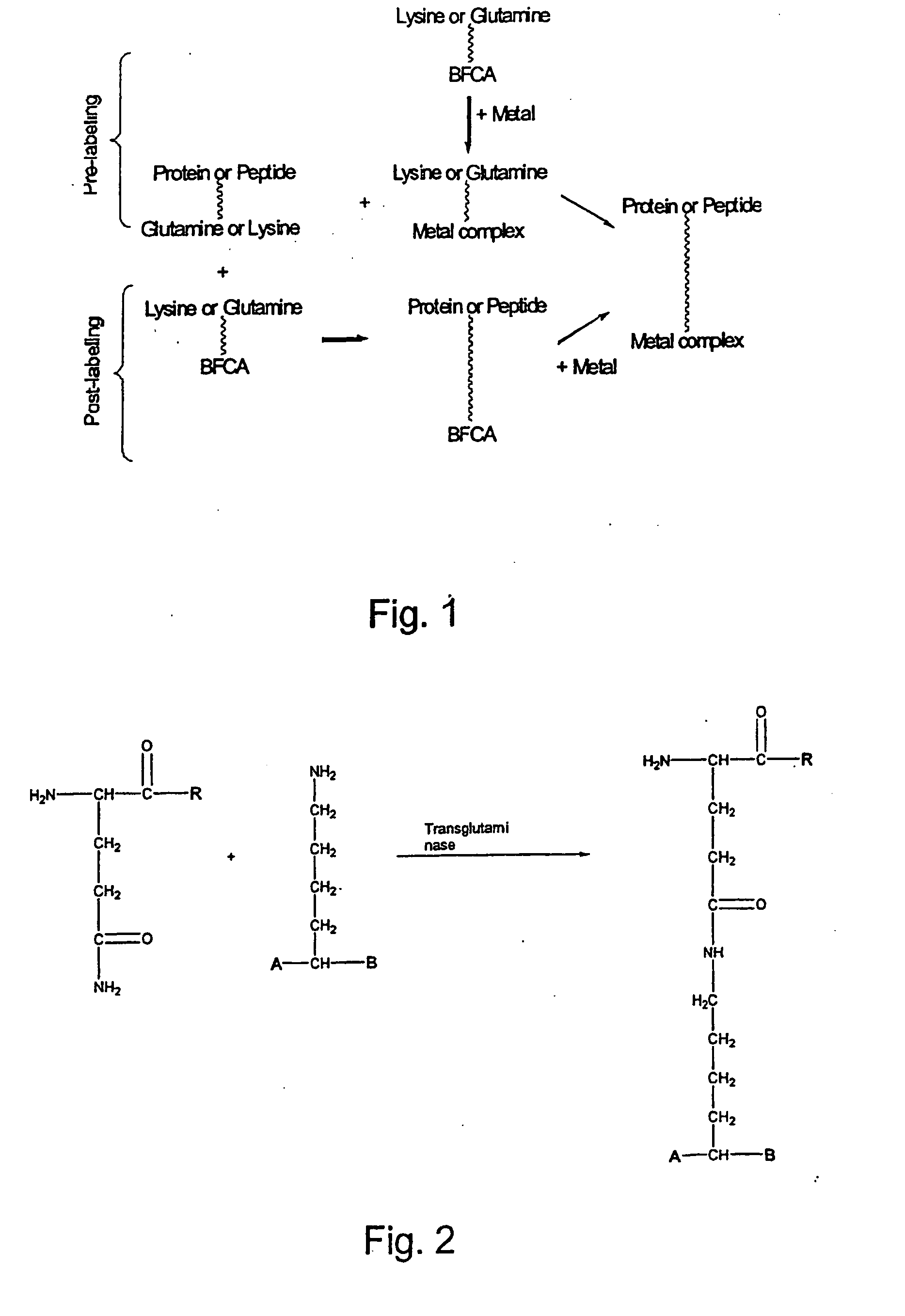 Method for the linkage of bifunctional chelating agents and (radioactive) transition metal complexes to proteins and peptides