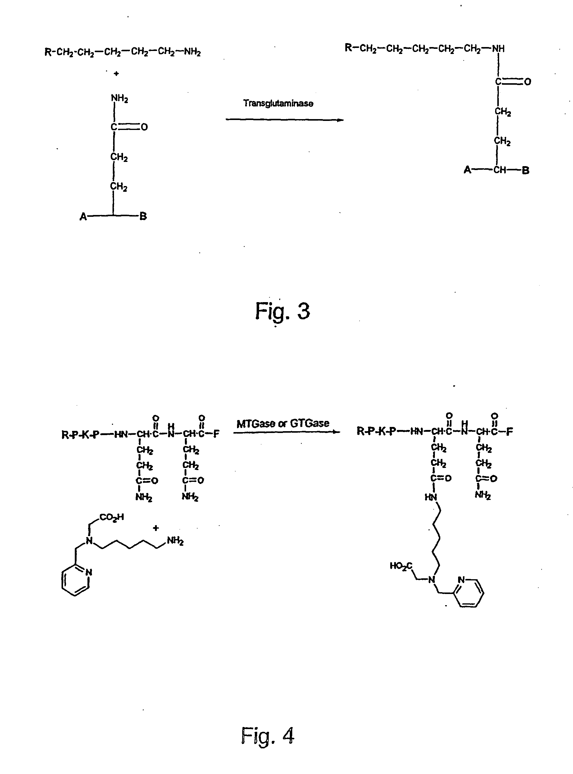 Method for the linkage of bifunctional chelating agents and (radioactive) transition metal complexes to proteins and peptides