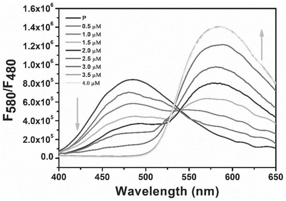 A ratiometric two-photon fluorescent probe and its preparation method and application