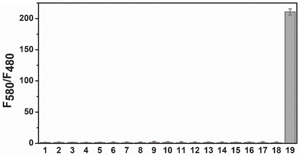 A ratiometric two-photon fluorescent probe and its preparation method and application