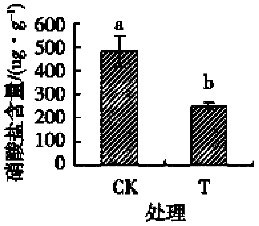 Soil heavy metal passivator, preparation method thereof, and soil treatment agent