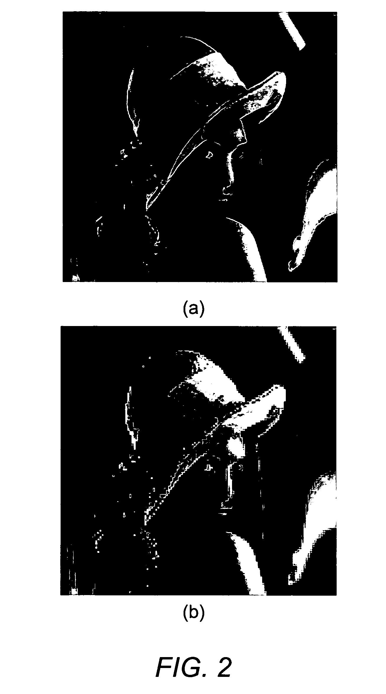 Robust reconstruction of high resolution grayscale images from a sequence of low resolution frames