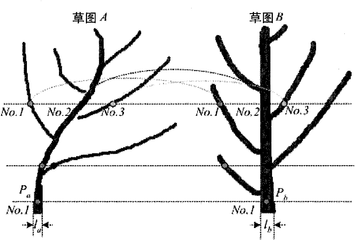 Tree modeling method based on skeleton point cloud