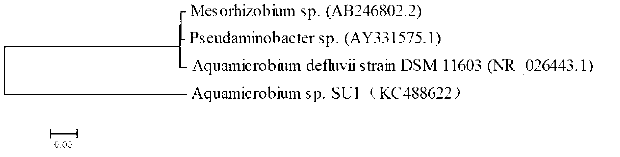 Compound microbial active filling material for removing sulphur-containing repugnant substances, as well as preparation and application thereof
