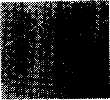 Filtration-based microarray chip