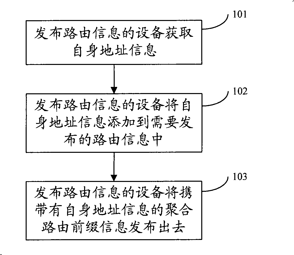 Route information publishing method, data packet routing implementing method, system and apparatus