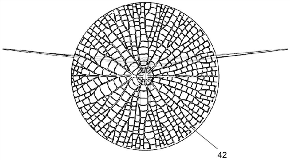 Floating type wind turbine platform with bionic fractal characteristic