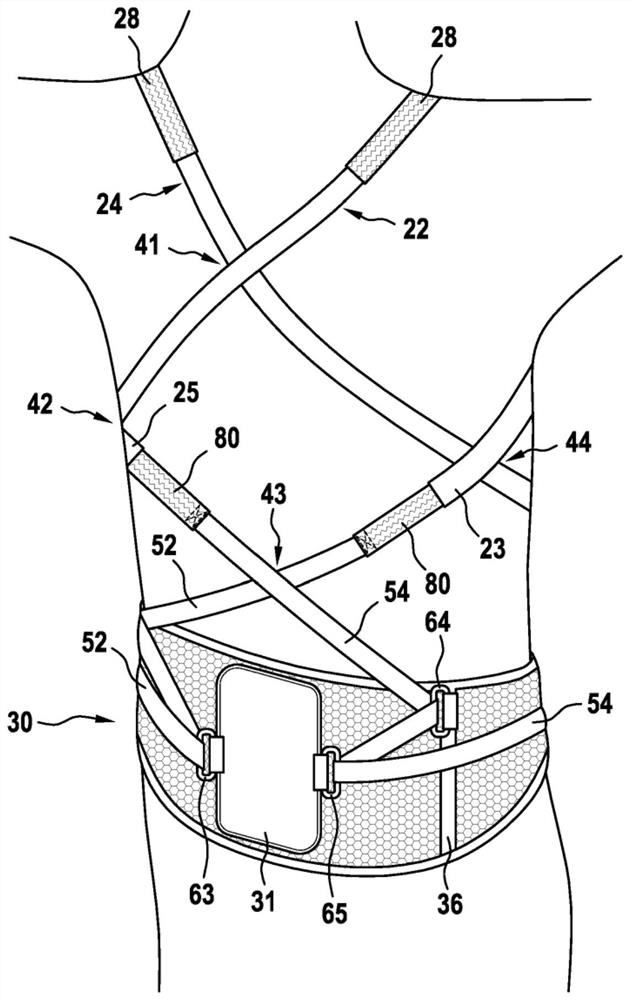 Back support belt