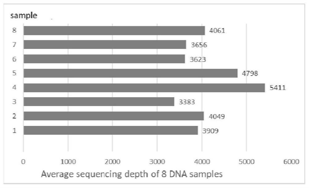 Human Y chromosome STR and SNP genetic marker joint detection system and detection method based on NGS