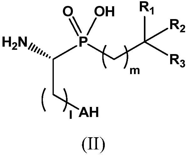Novel aminophosphinic derivatives as aminopeptidase a inhibitors