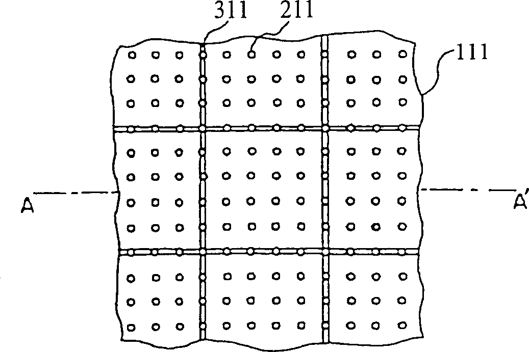 Polishing device having pad which has grooves and holes