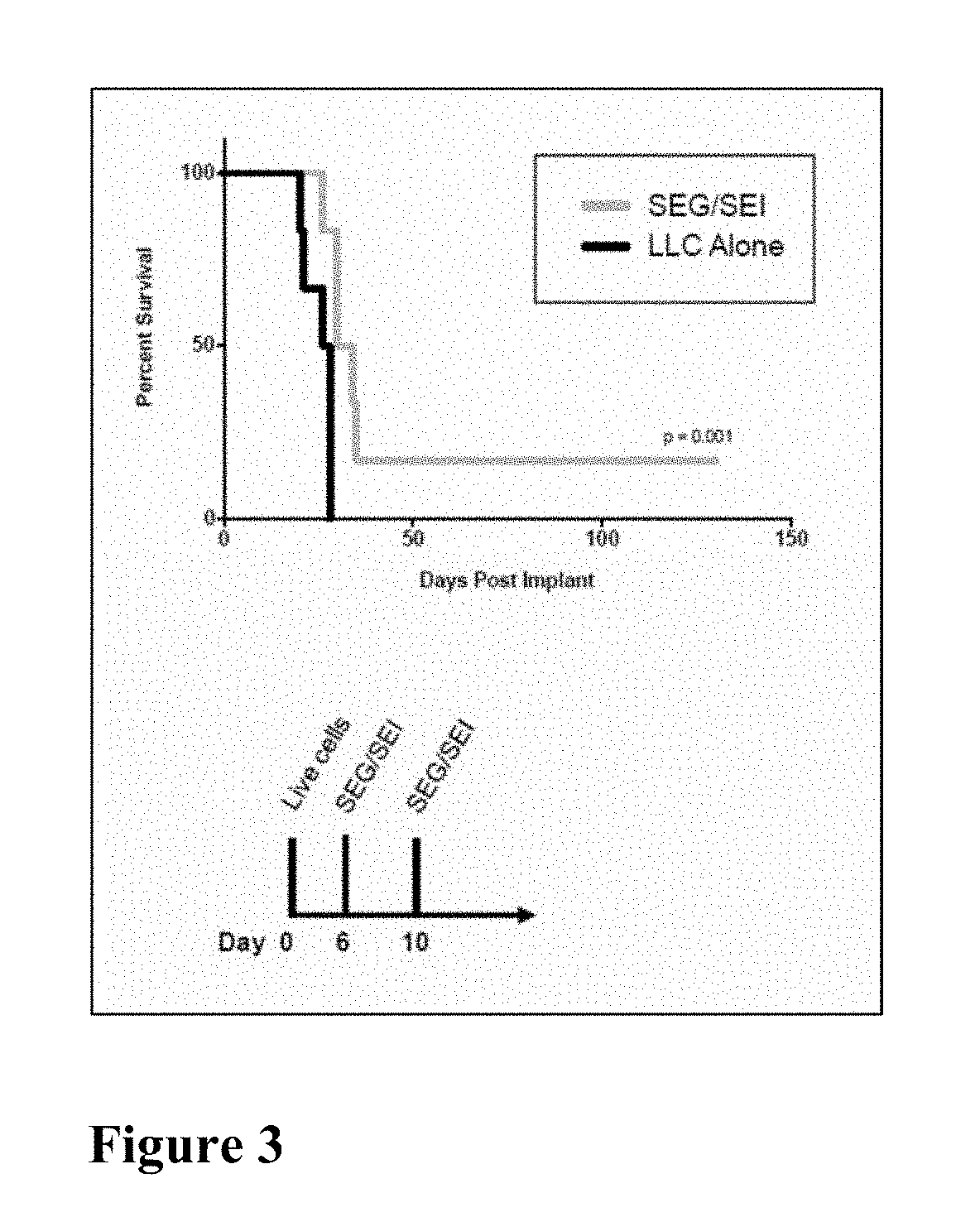 Compositions and Methods for Treatment of Cancer