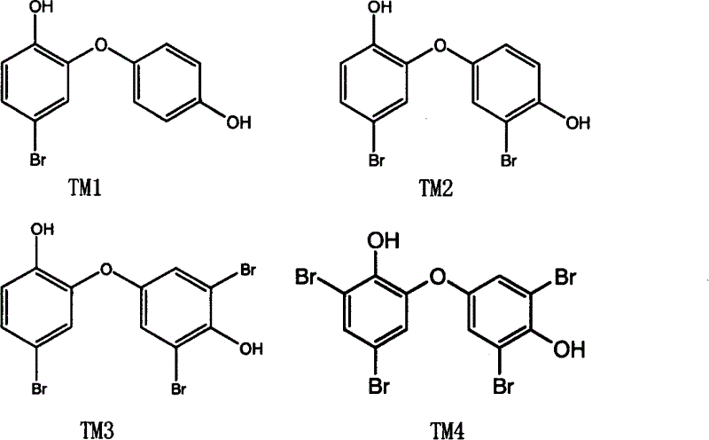 Bromo-2, 4'-dihydroxy diphenyl ether compound and its synthesizing method