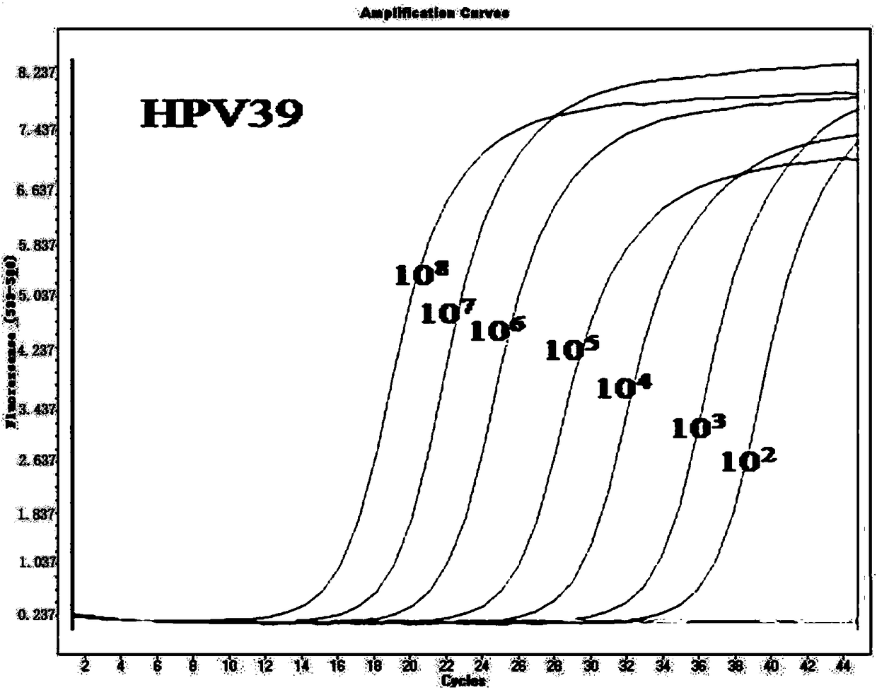 Primers, kit and detection method for detecting high-risk human papillomavirus E6/E7 mRNA