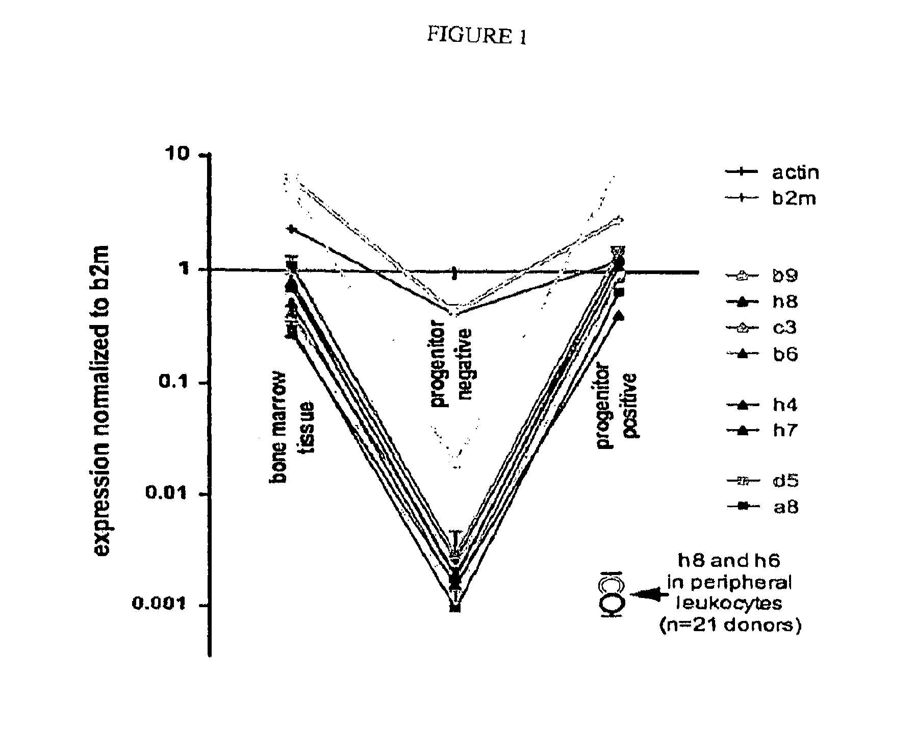 Polynucleotides that home to atherosclerotic plaque