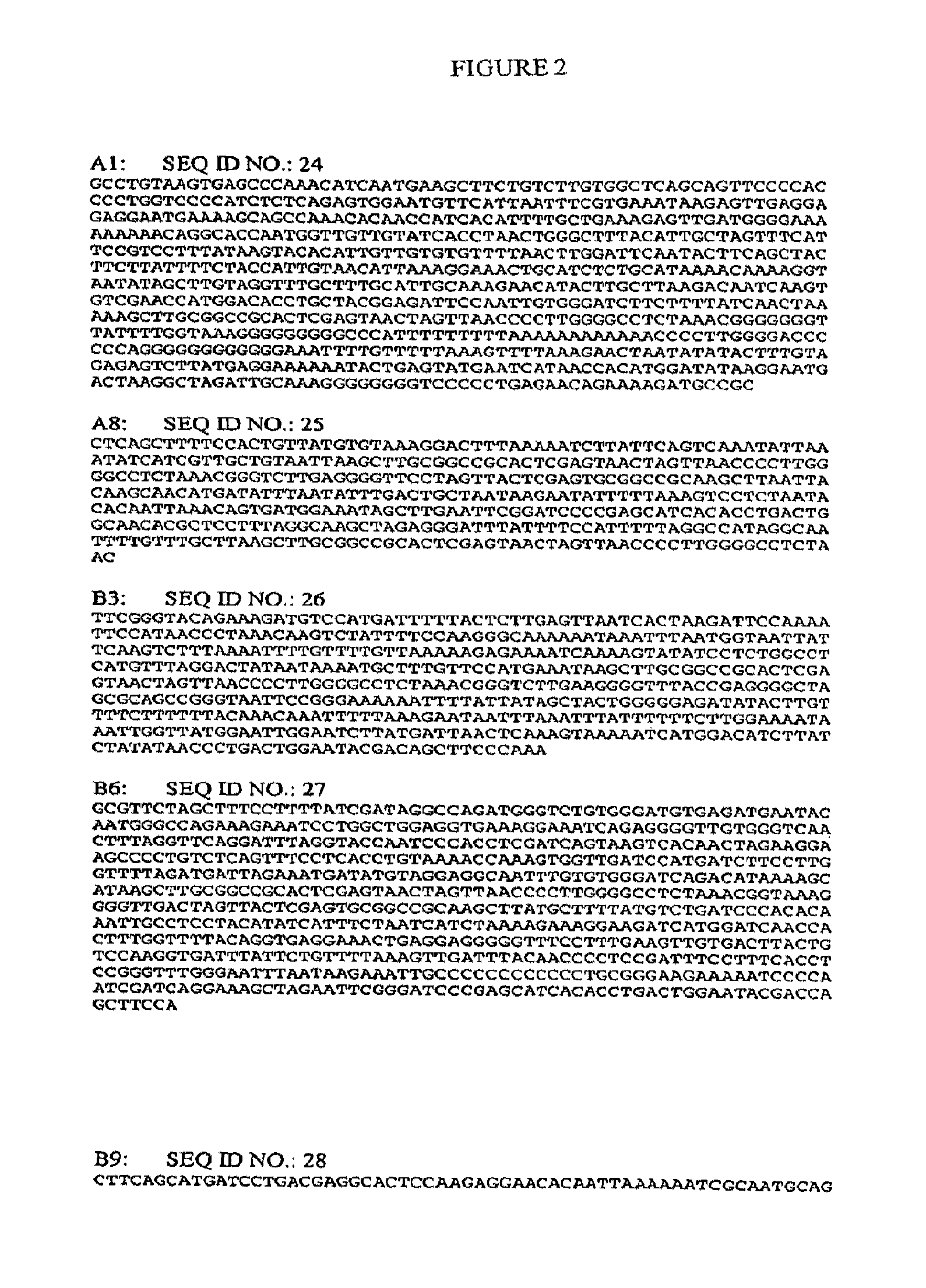 Polynucleotides that home to atherosclerotic plaque