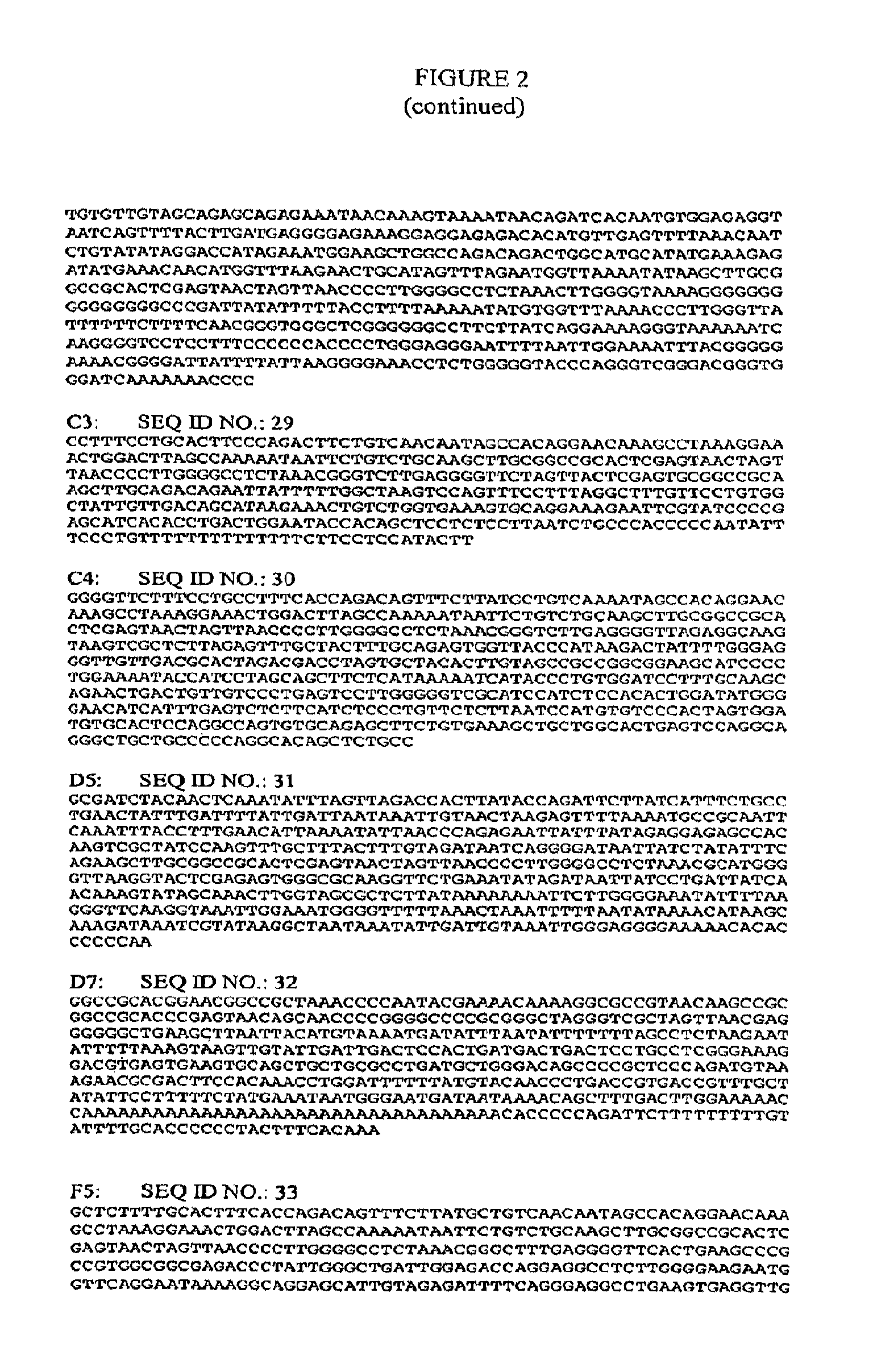 Polynucleotides that home to atherosclerotic plaque