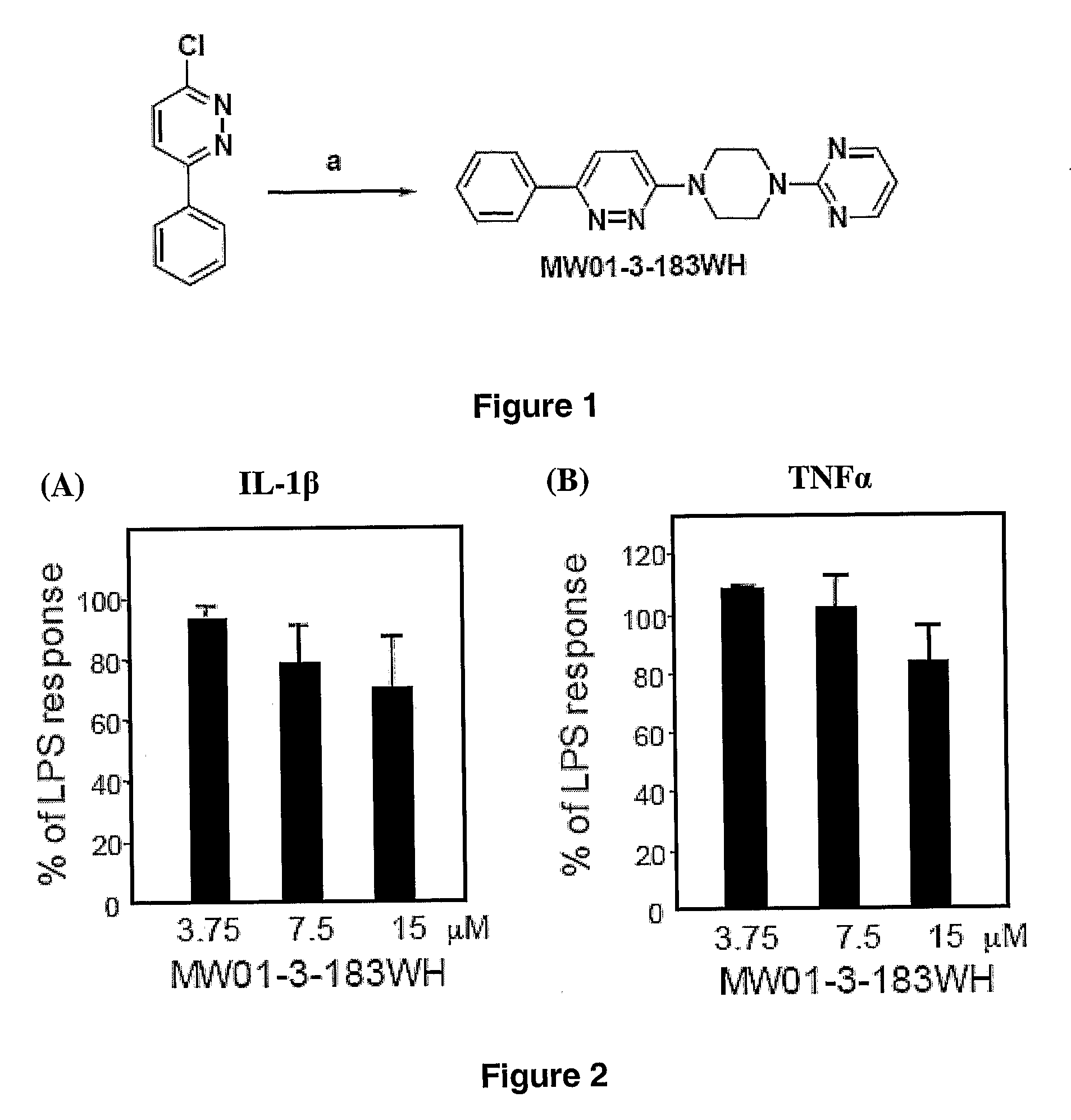 Pyridazine Compounds, Compositions and Methods