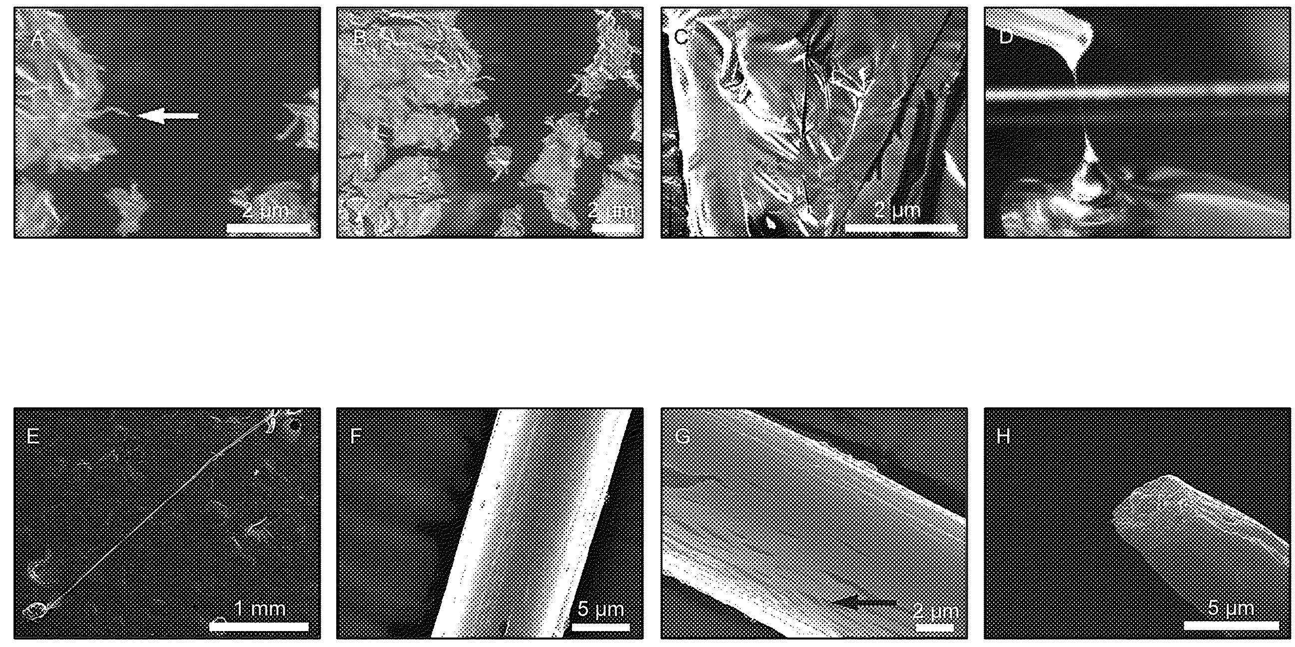 Self-assembly of protein-based biomaterials with multiple morphologies