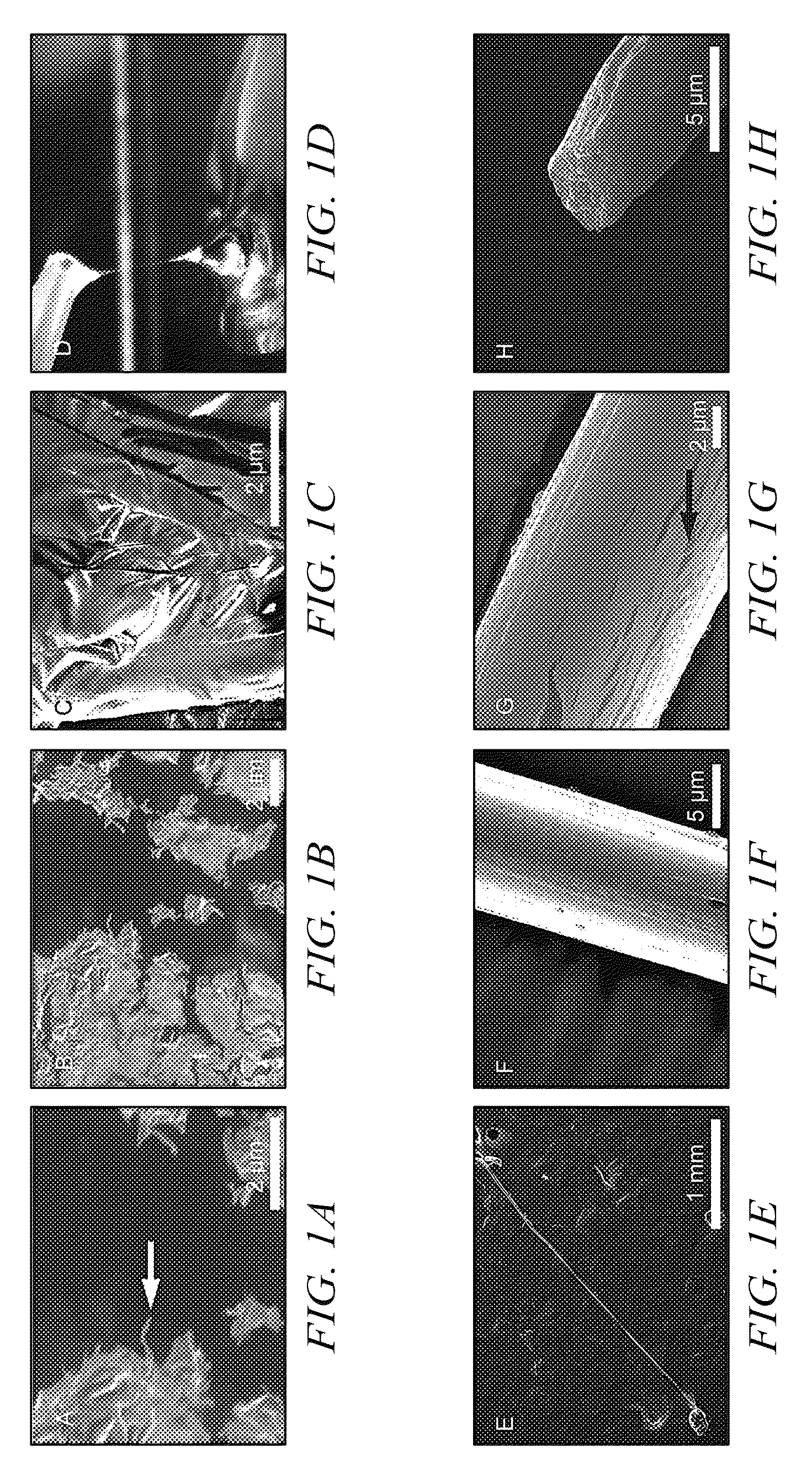 Self-assembly of protein-based biomaterials with multiple morphologies