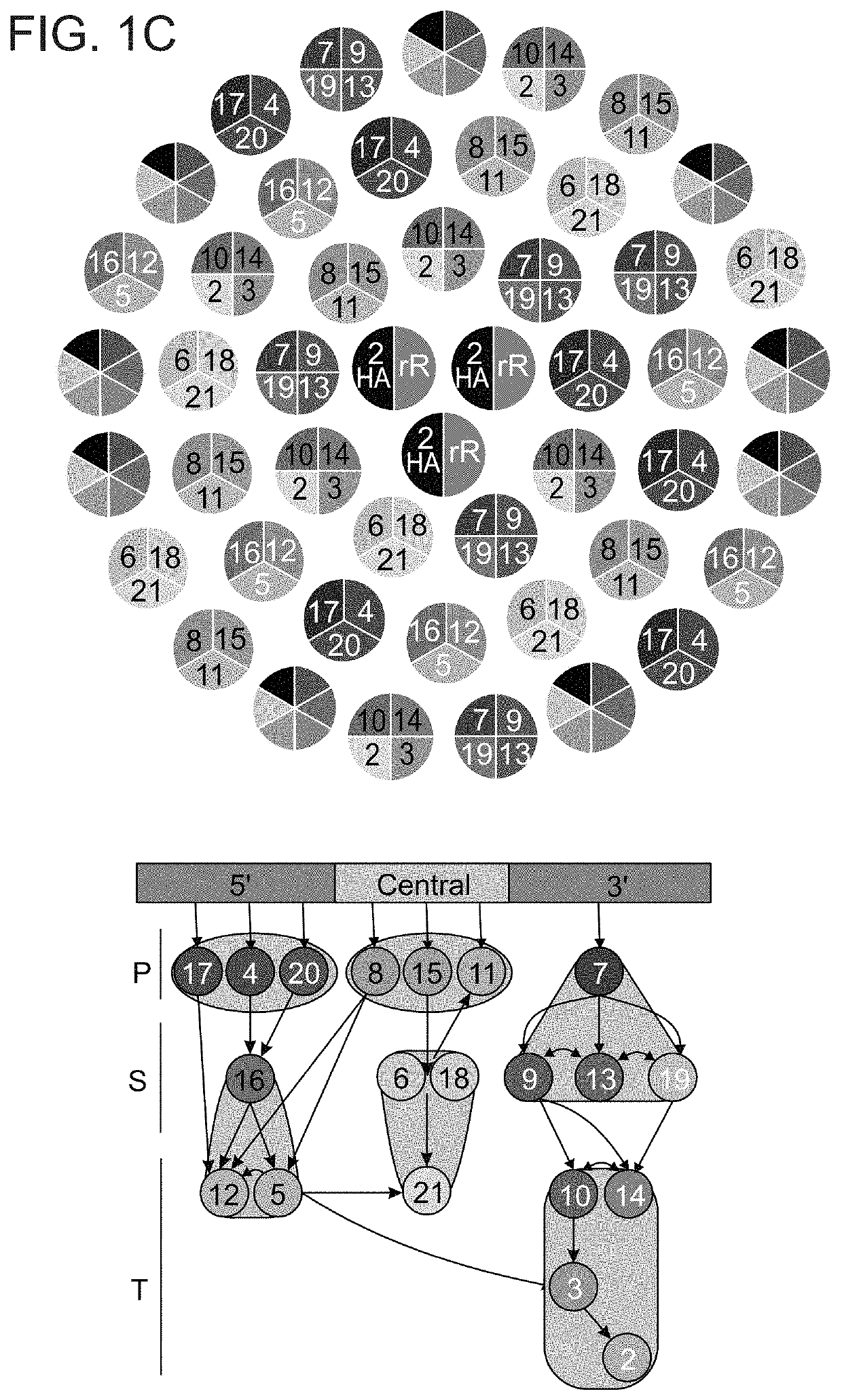 Assembly of protein complexes on a chip