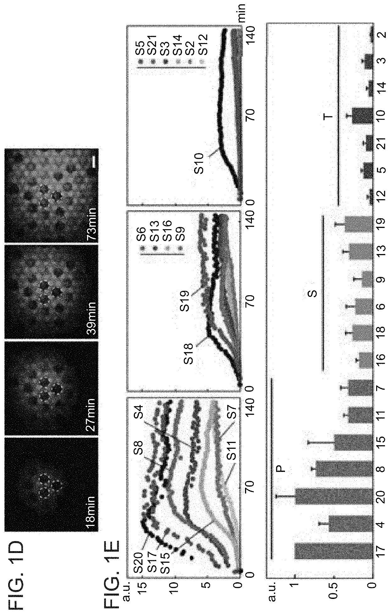 Assembly of protein complexes on a chip