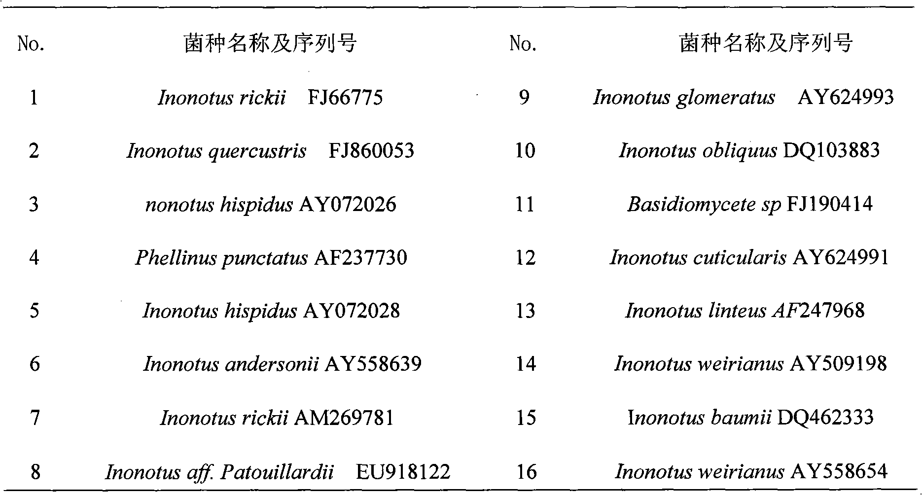 Inonotus obliquus and method for extracting triterpennoids from same