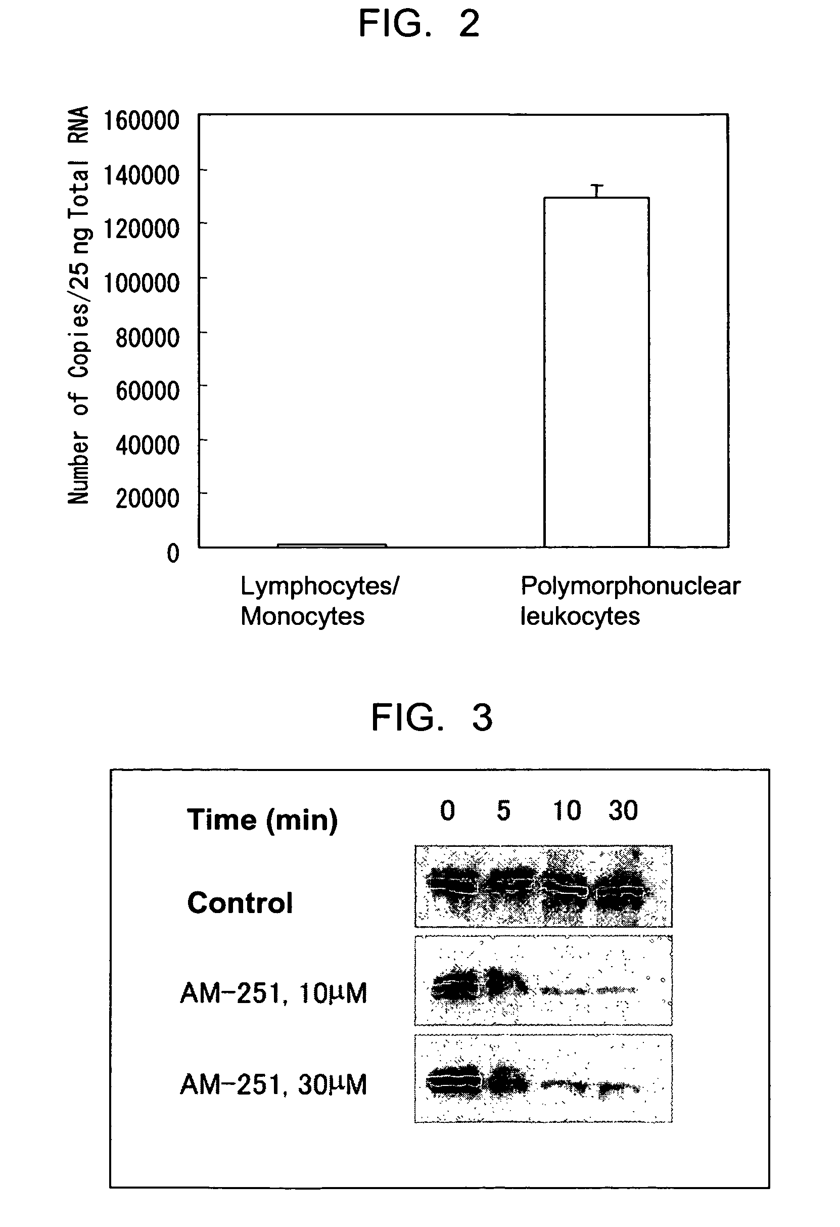 Methods of screening for compounds which bind G protein-coupled receptors