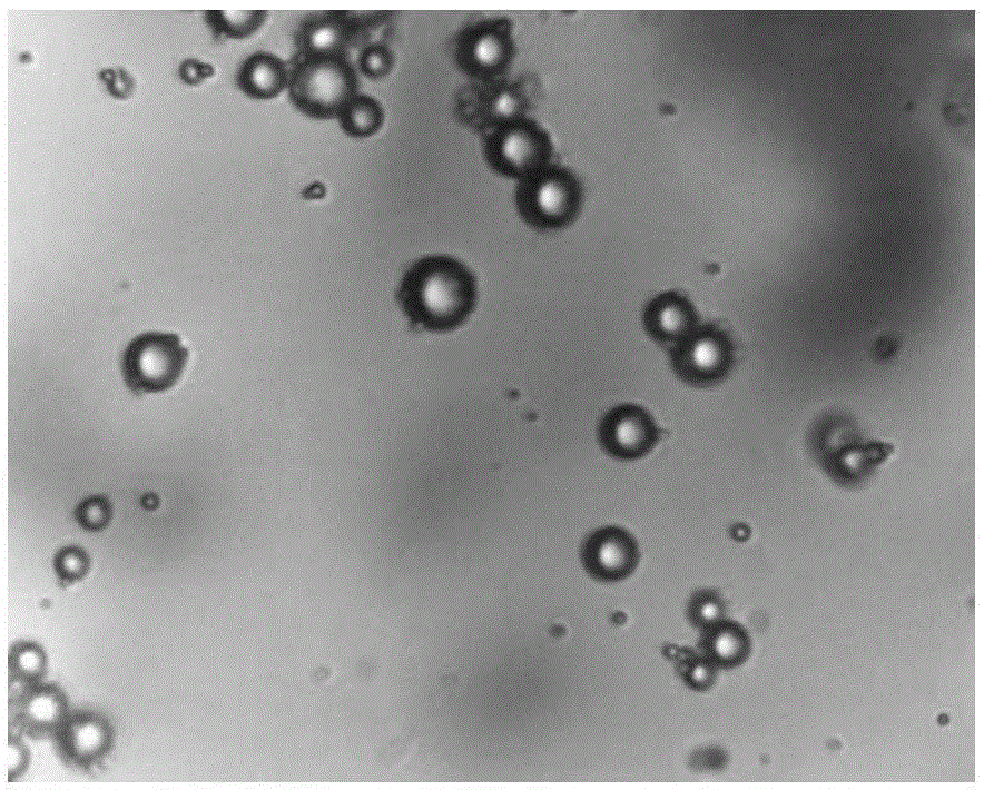 Essence microcapsule and preparation method therefor