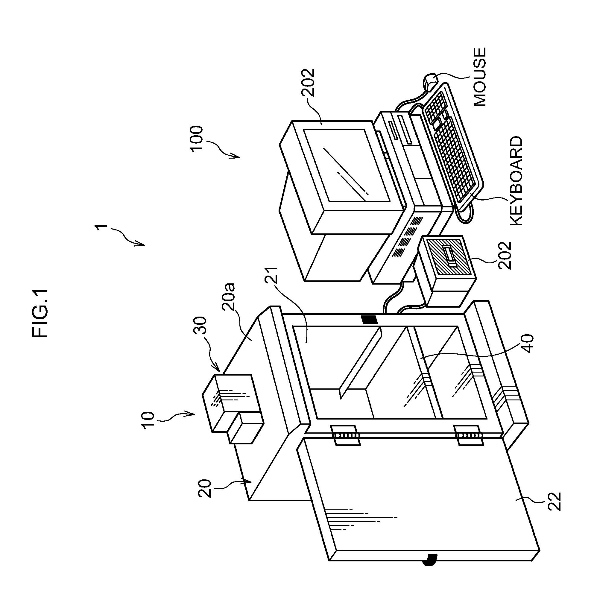 Fluorometric assay apparatus and fluorometric assay method