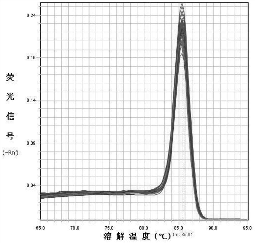 Application of bambi as a marker for nasopharyngeal carcinoma