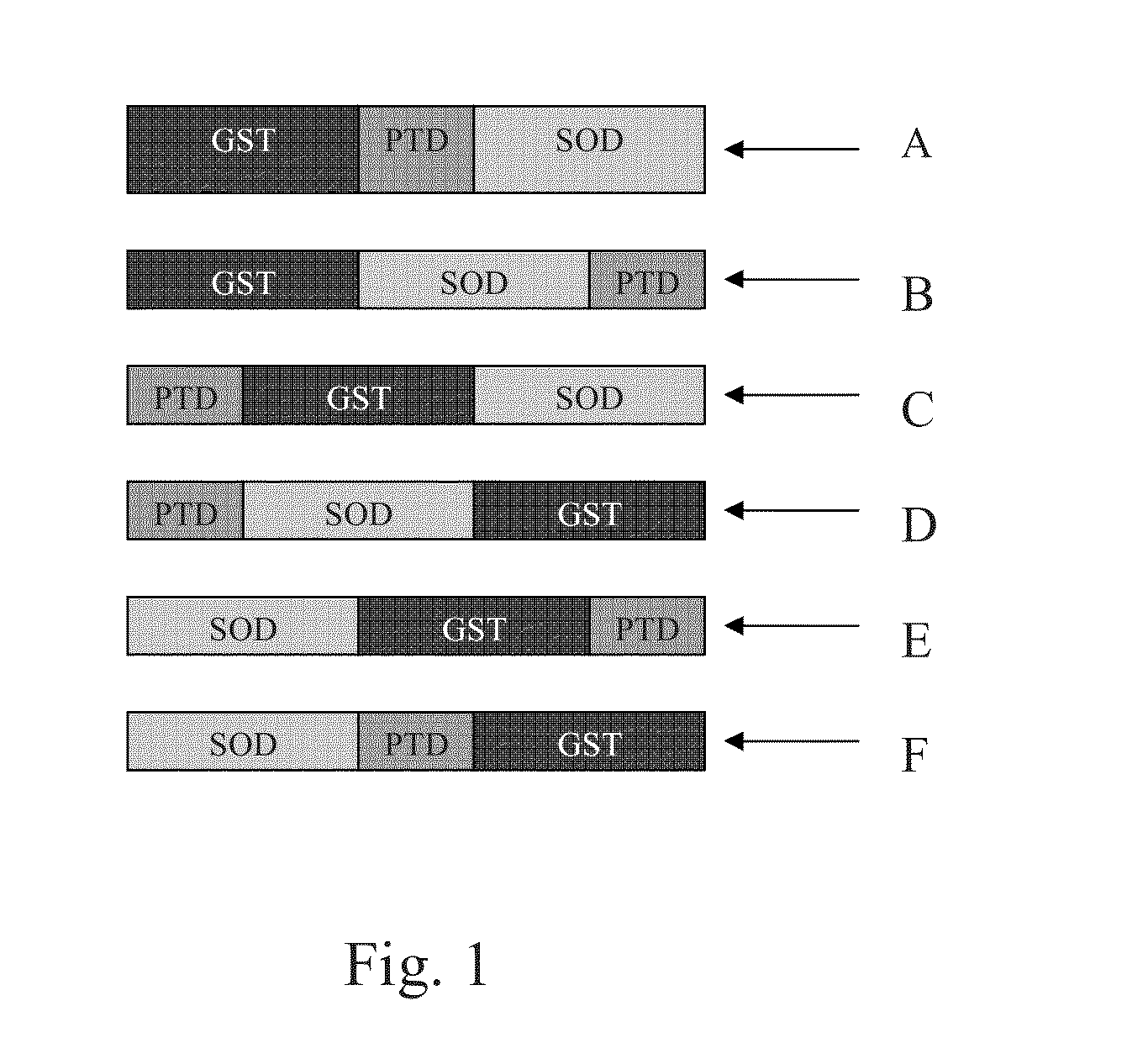 Fusion proteins and methods for treating HIV infection and aids related symptoms