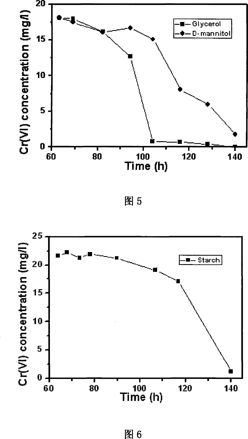 Ochrobactrum CTS-325 and culture method thereof and application thereof in reduction of hexavalent chromium