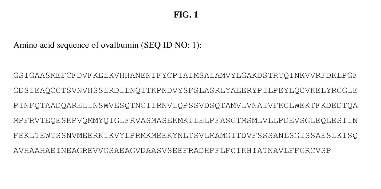 Methods and compositions for egg white protein production