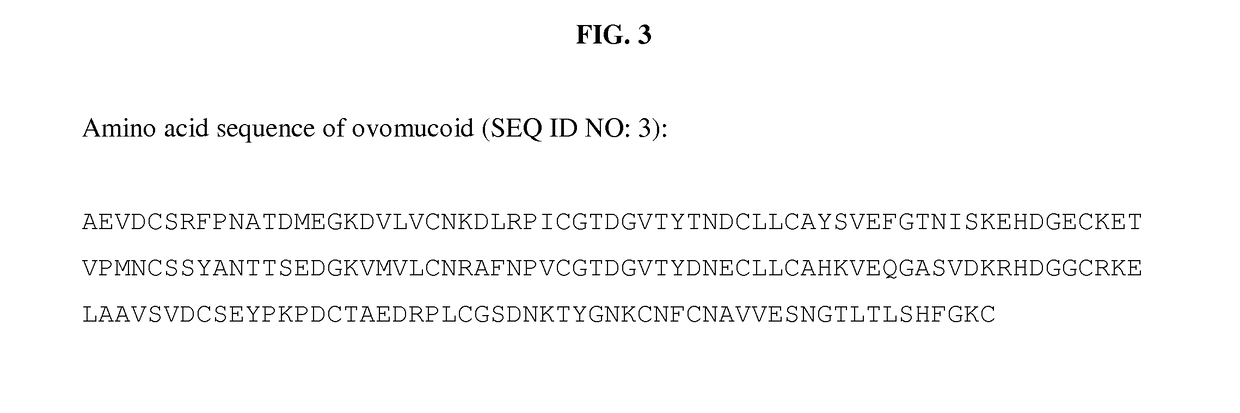 Methods and compositions for egg white protein production