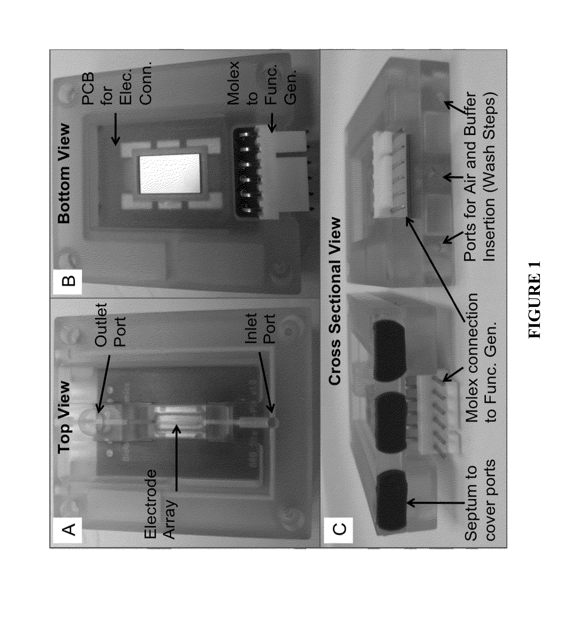 Nucleic acid sample preparation