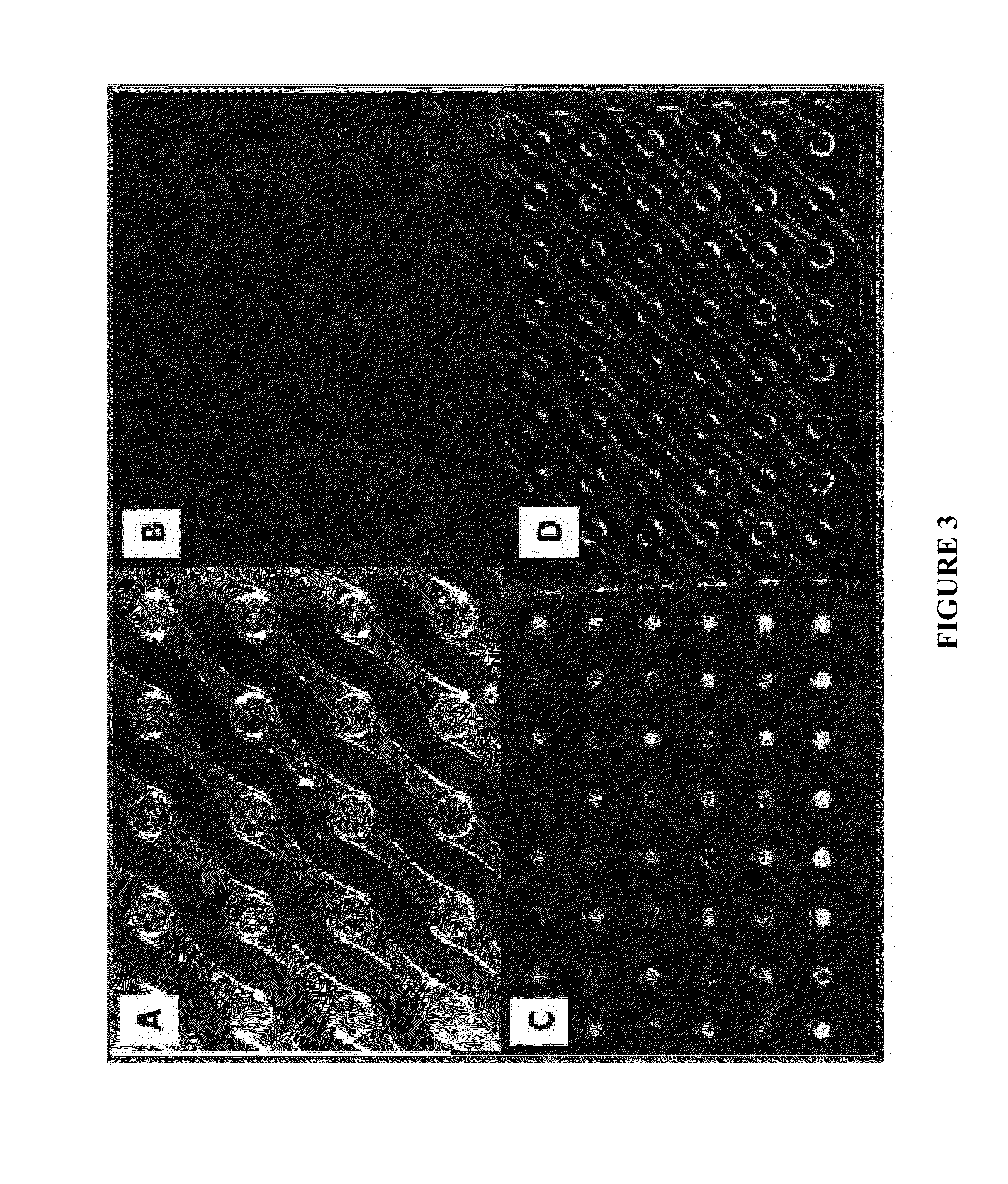 Nucleic acid sample preparation