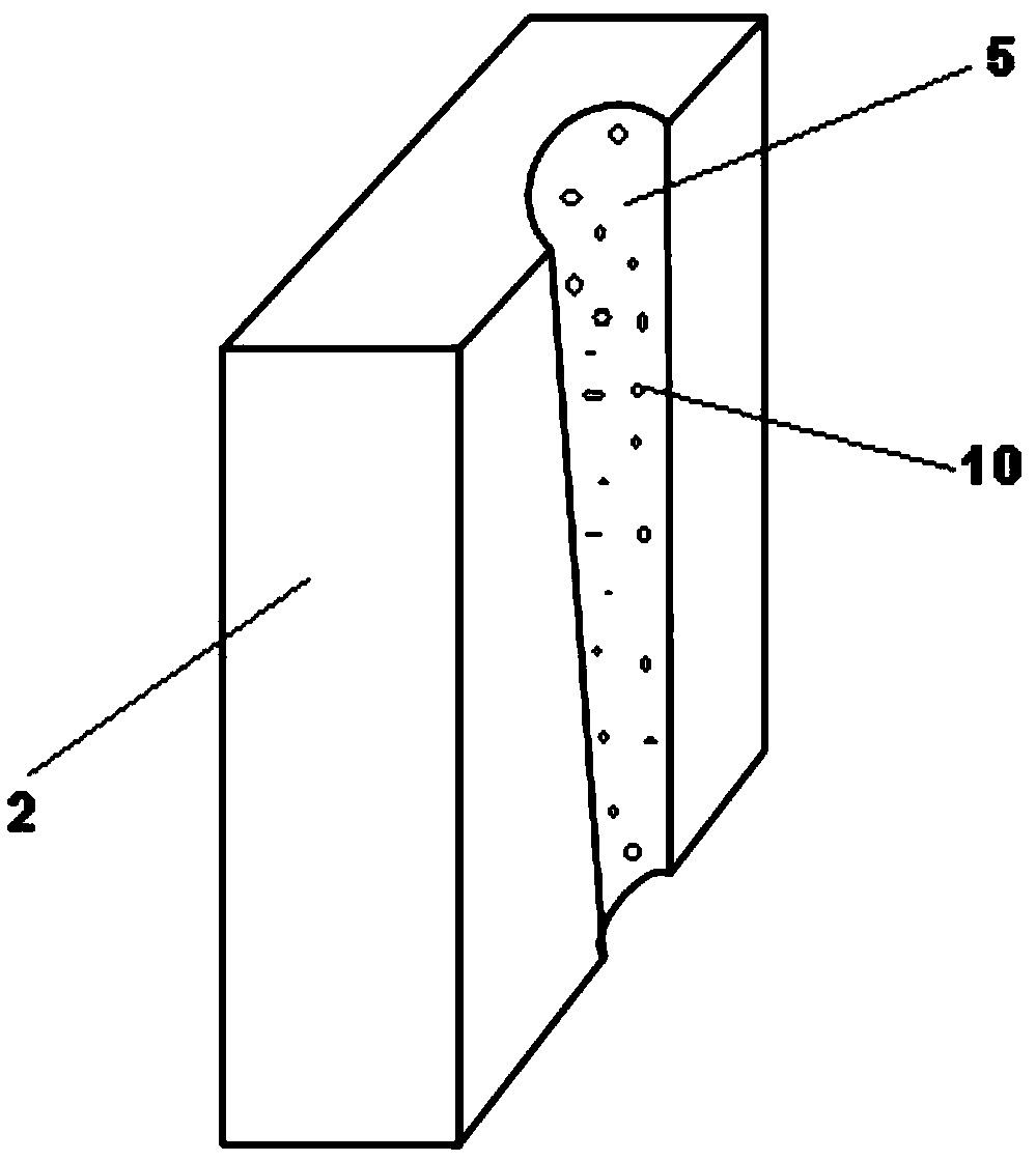 Device and method for removing suckers in processing of squids