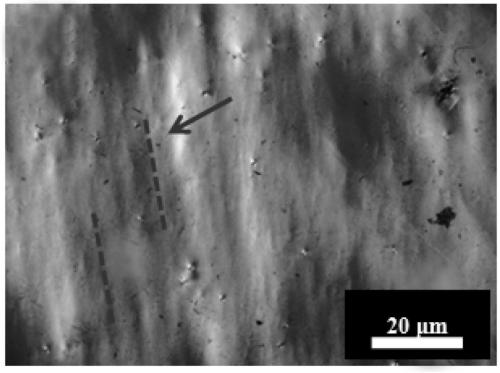 Preparation method of cellulose nano paper for circular polarization fluorescence emission
