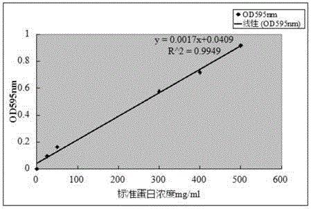 Method for isolating protein with antioxidant activity from leech freeze-dried product