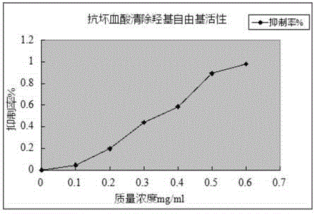 Method for isolating protein with antioxidant activity from leech freeze-dried product