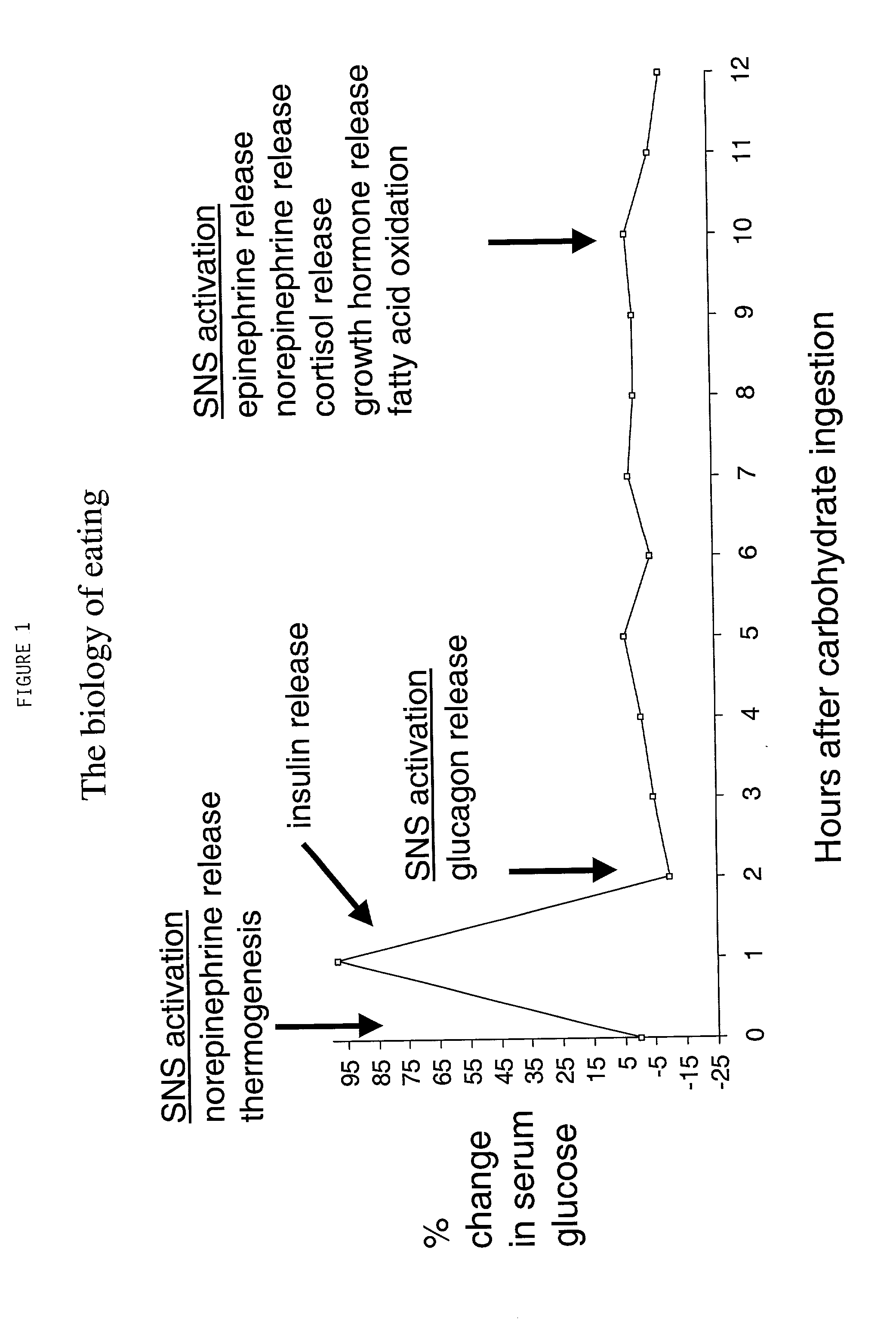 Compositions and methods of carbohydrate dosing