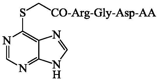 6-(acetyl-Arg-Gly-Asp-AA-sulfydryl)purine, and synthesis, activity and application thereof