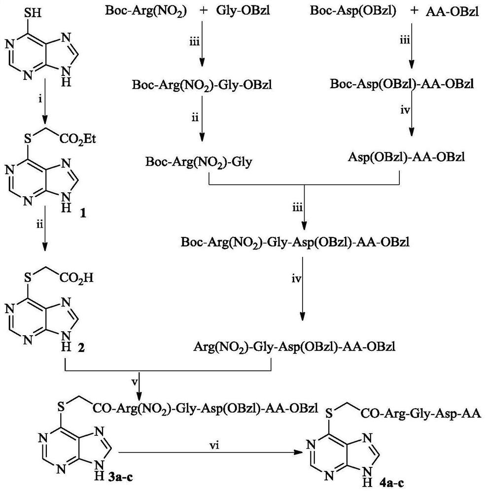 6-(acetyl-Arg-Gly-Asp-AA-sulfydryl)purine, and synthesis, activity and application thereof